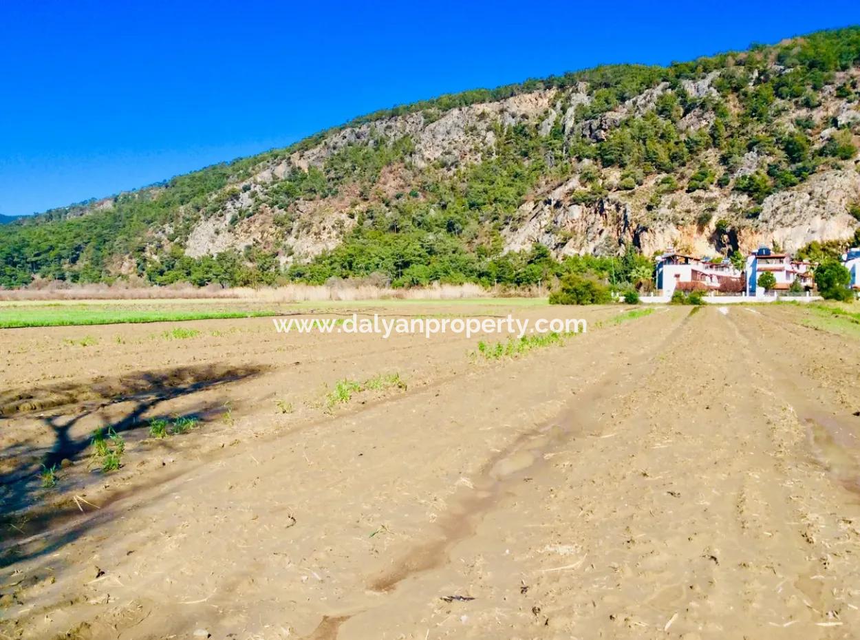 Land For Sale In Ortaca Fevziye Ora04