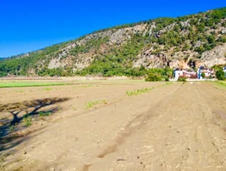 Land For Sale In Ortaca Fevziye Ora04