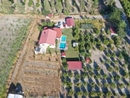 Farmhouse Located On 40 Decares Of Land In Tepearası Locality