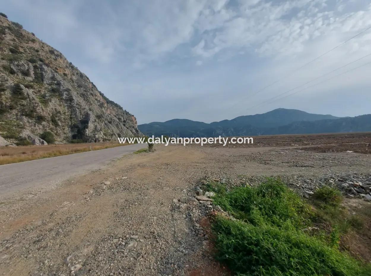 Dalyan İztuzu Yolu Üzerinde Sülüngür Gölüne Sıfır 19500 M2 Tarla Da-27